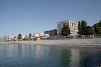 Фламинго (Адлер)