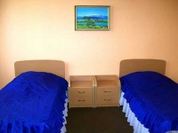 Гвоздика