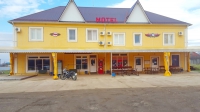 Сытый кот