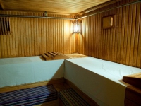 Центральная