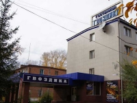 Гвоздика