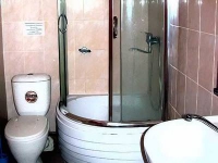 Гвоздика
