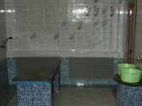 Green Roof