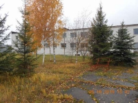 Панковка