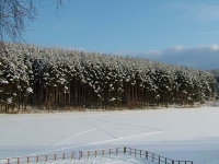 Мечта
