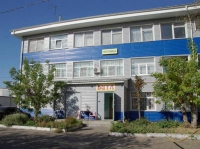 Вита