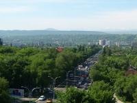 «Золотой Комплекс» 